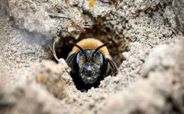 Carregando...